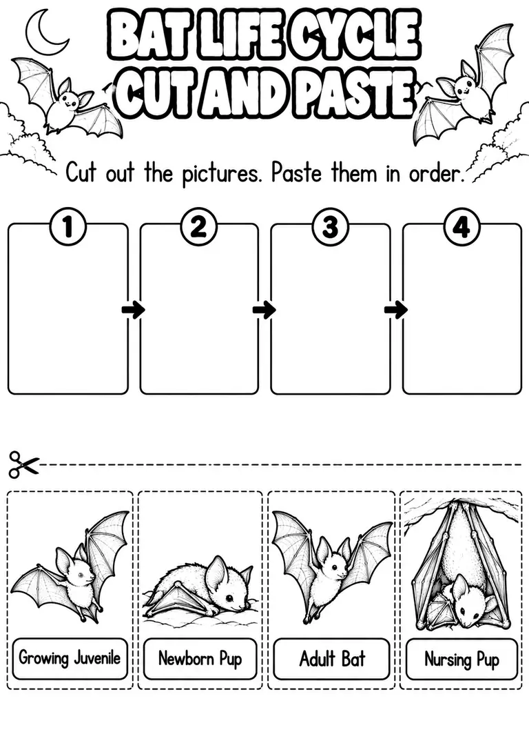 BAT LIFE CYCLE CUT AND PASTE for Pre-K, Kindergarten, 1st Grade