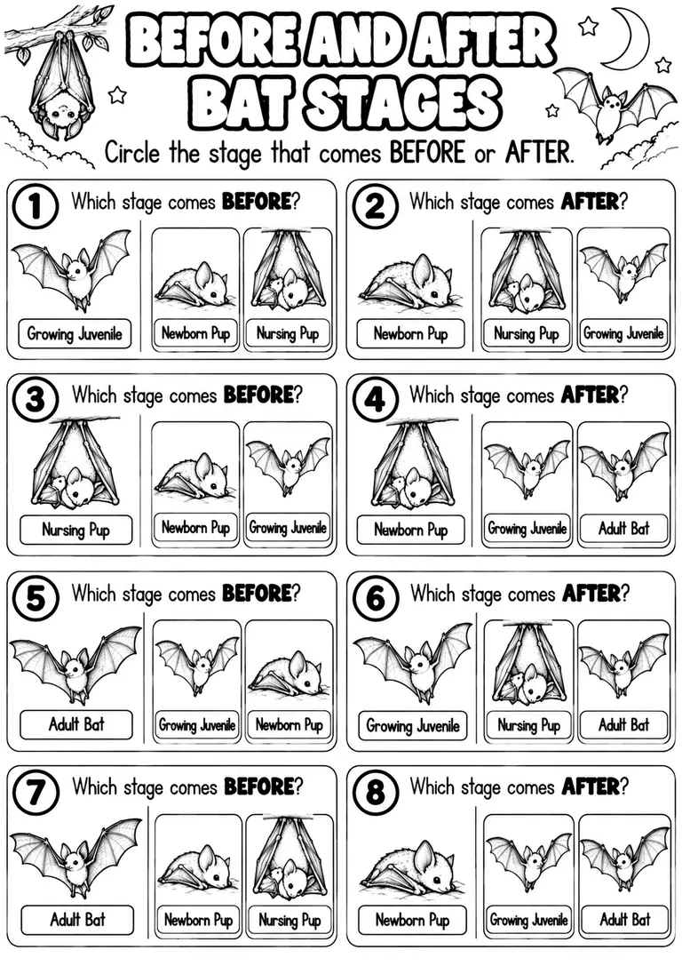 BEFORE AND AFTER BAT STAGES for Pre-K, Kindergarten, 1st Grade