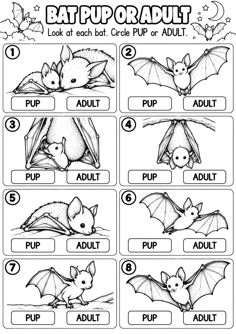 BAT PUP OR ADULT for Pre-K, Kindergarten, 1st Grade