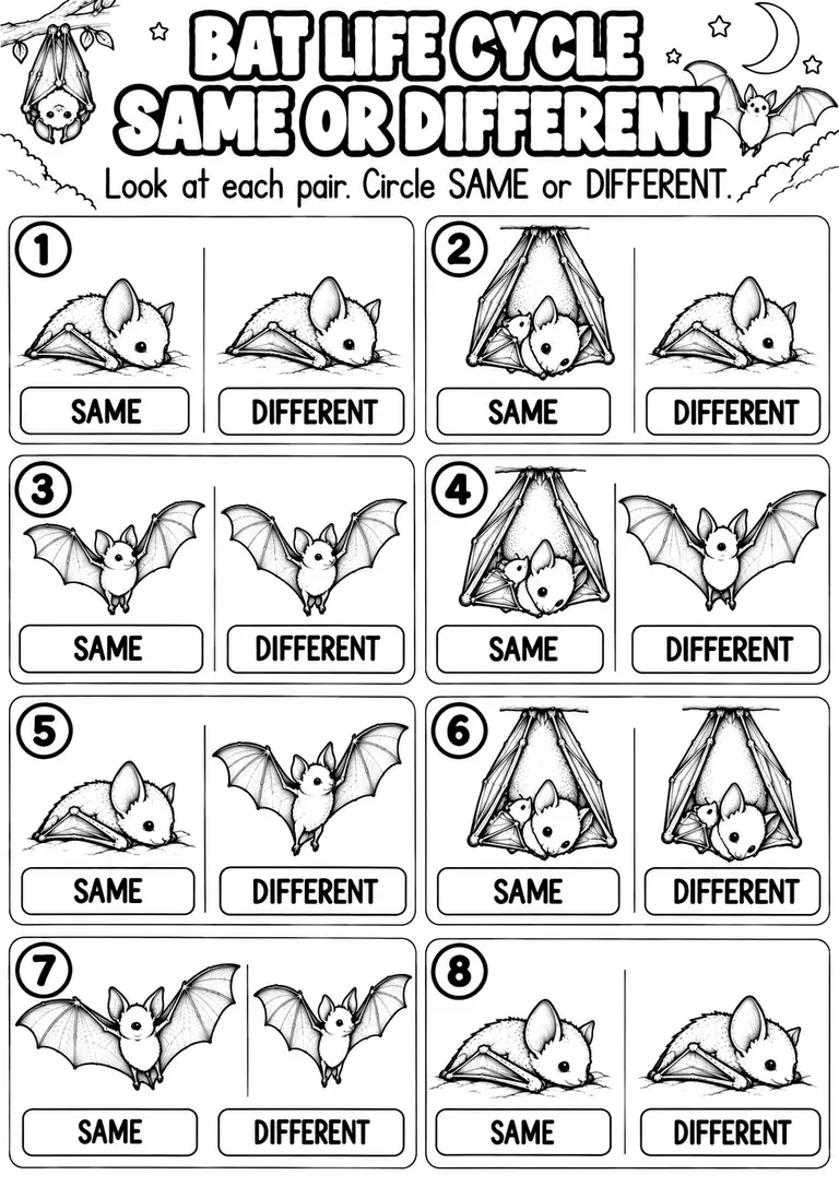 BAT LIFE CYCLE SAME OR DIFFERENT for Pre-K, Kindergarten, 1st Grade