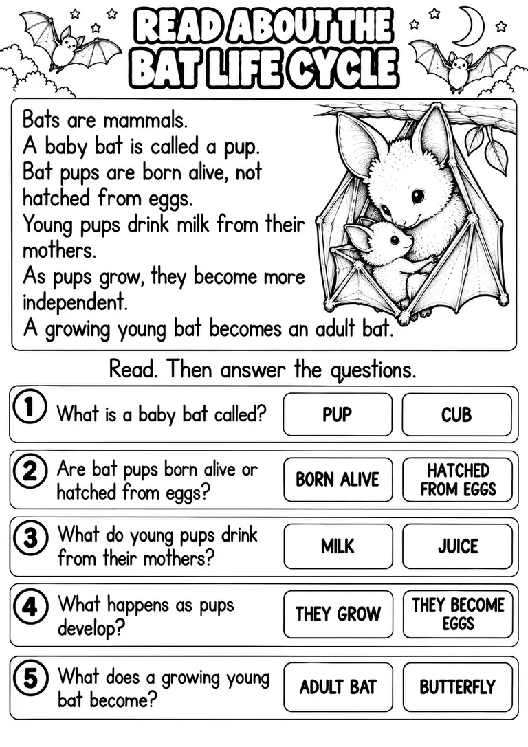READ ABOUT THE BAT LIFE CYCLE for Pre-K, Kindergarten, 1st Grade