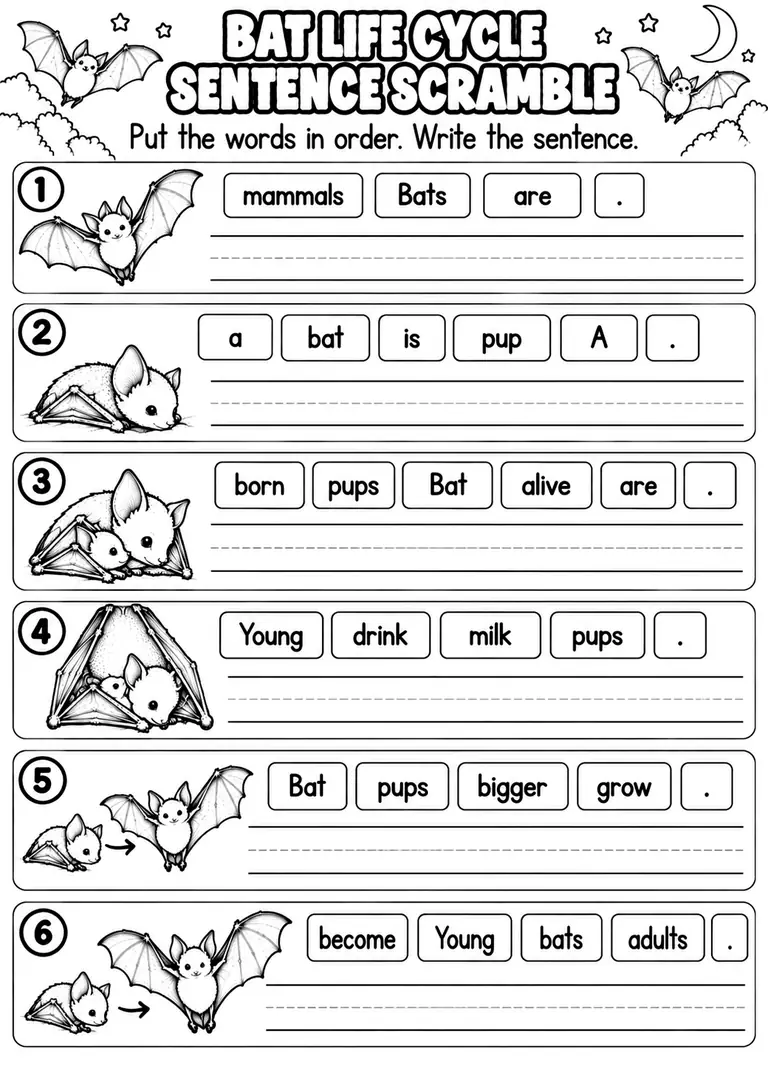 BAT LIFE CYCLE SENTENCE SCRAMBLE for Pre-K, Kindergarten, 1st Grade