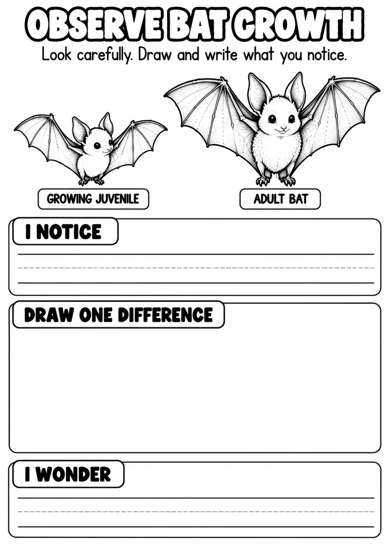 OBSERVE BAT GROWTH for Pre-K, Kindergarten, 1st Grade
