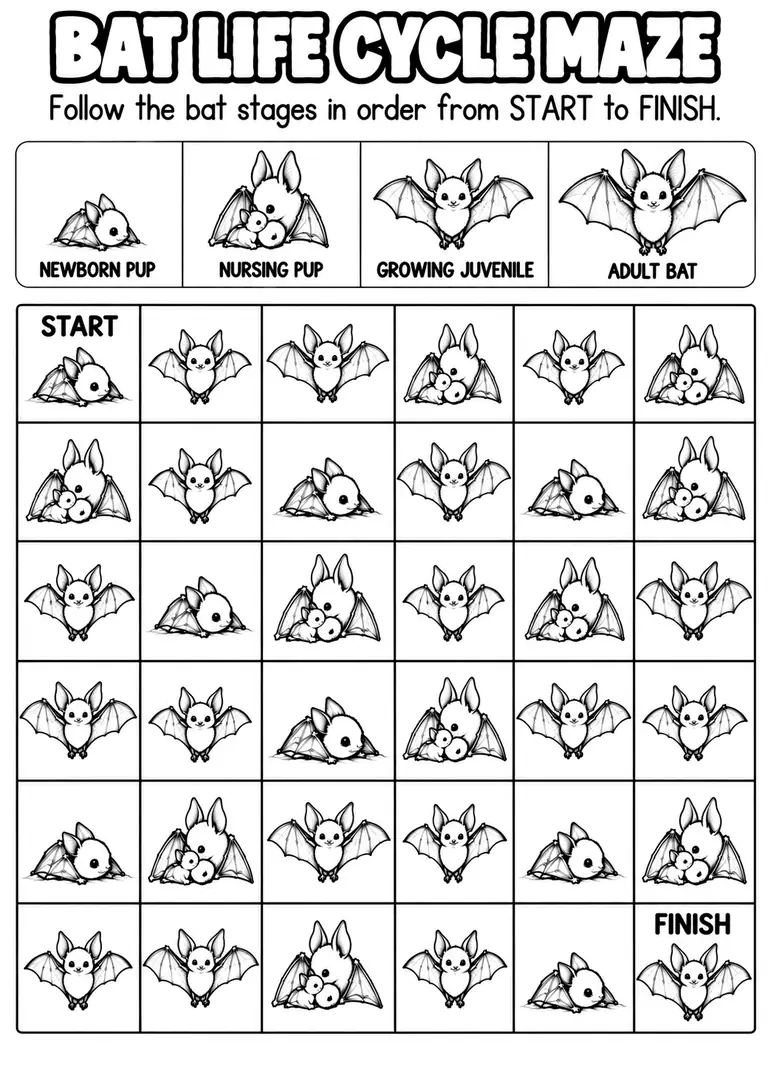 BAT LIFE CYCLE MAZE for Pre-K, Kindergarten, 1st Grade