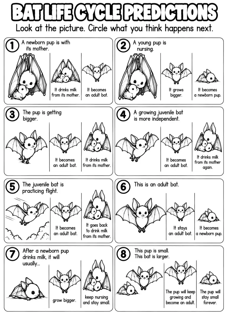 BAT LIFE CYCLE PREDICTIONS for Pre-K, Kindergarten, 1st Grade