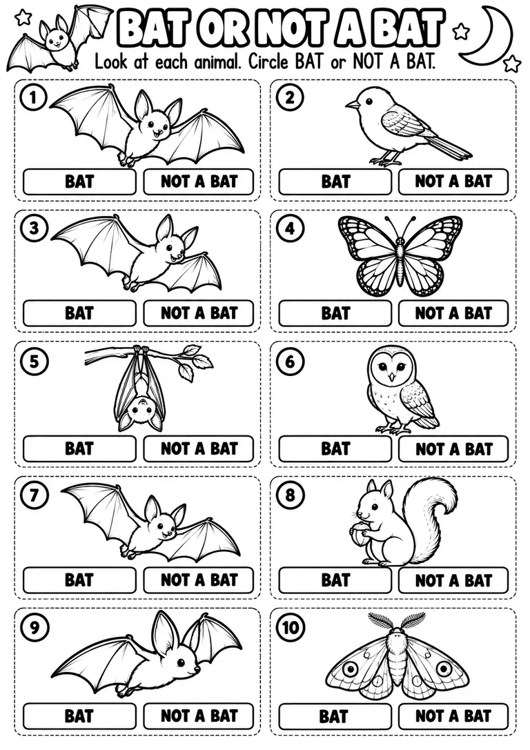 BAT OR NOT A BAT for Kindergarten, 1st Grade
