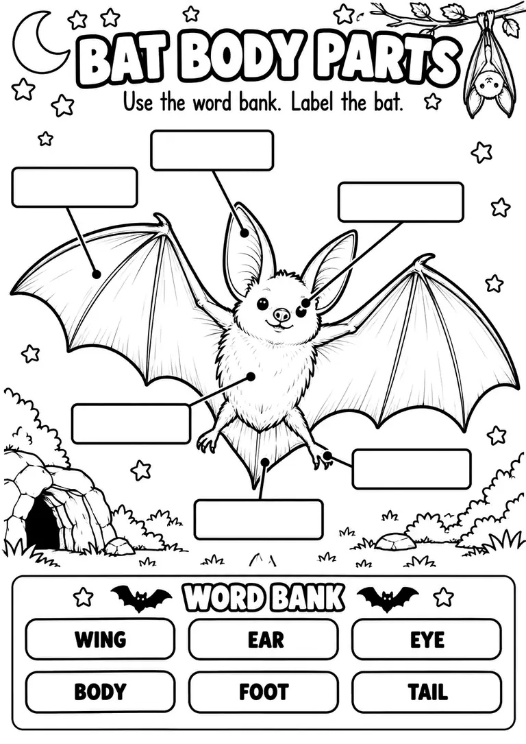 BAT BODY PARTS WORKSHEET for Kindergarten, 1st Grade
