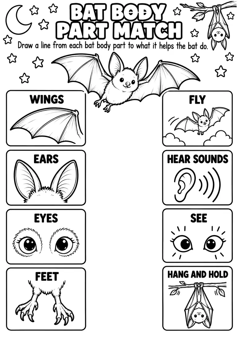 BAT BODY PART MATCH for Kindergarten, 1st Grade