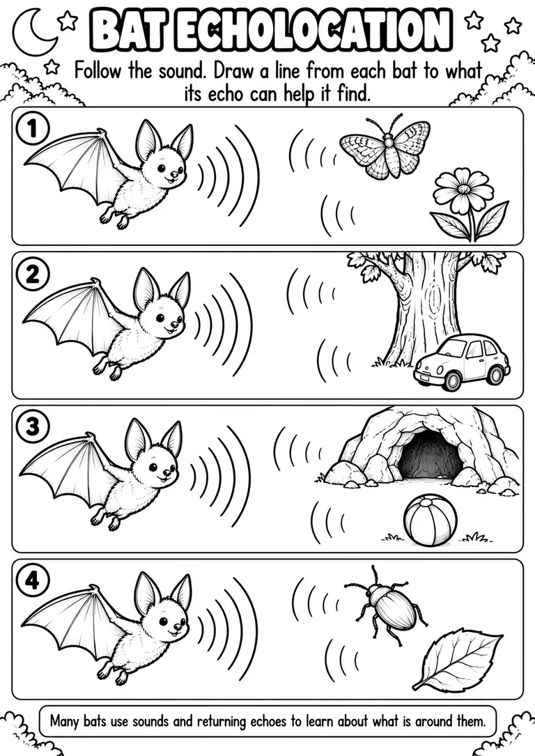 BAT ECHOLOCATION for Kindergarten, 1st Grade