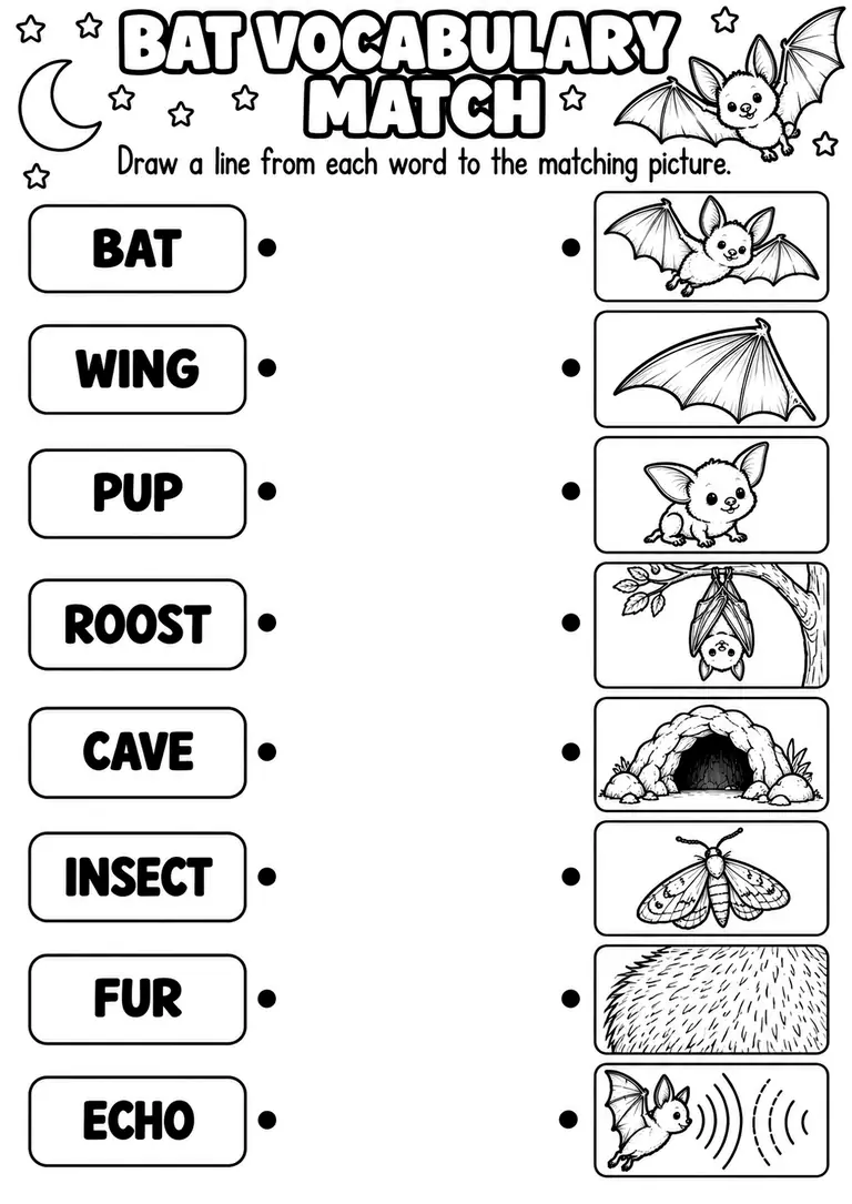 BAT VOCABULARY MATCH for Kindergarten, 1st Grade