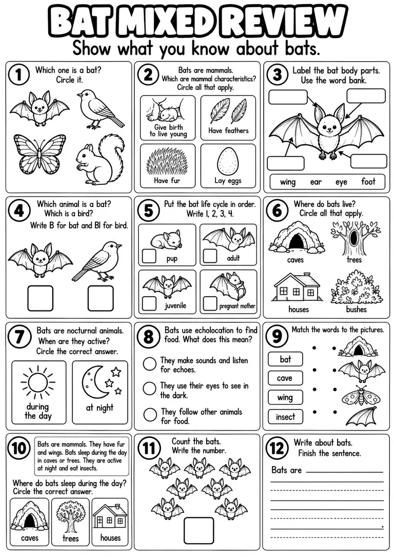 BAT MIXED REVIEW for Kindergarten, 1st Grade