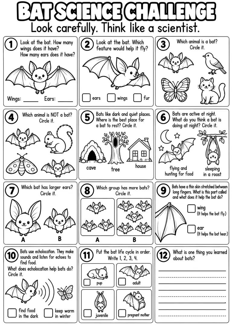 BAT SCIENCE CHALLENGE for Kindergarten, 1st Grade