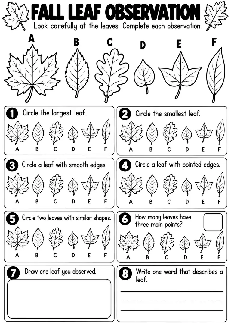 FALL LEAF OBSERVATION for Kindergarten, 1st Grade