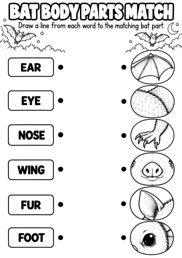 BAT BODY PARTS MATCH for Kindergarten, 1st Grade