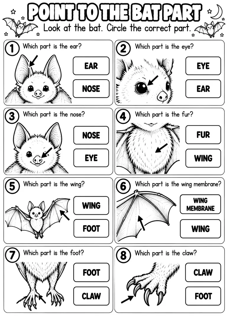 POINT TO THE BAT PART for Kindergarten, 1st Grade