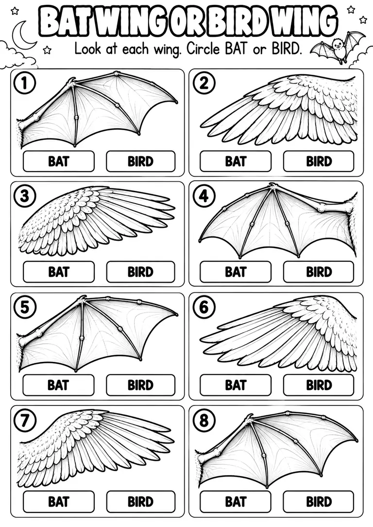 BAT WING OR BIRD WING for Kindergarten, 1st Grade