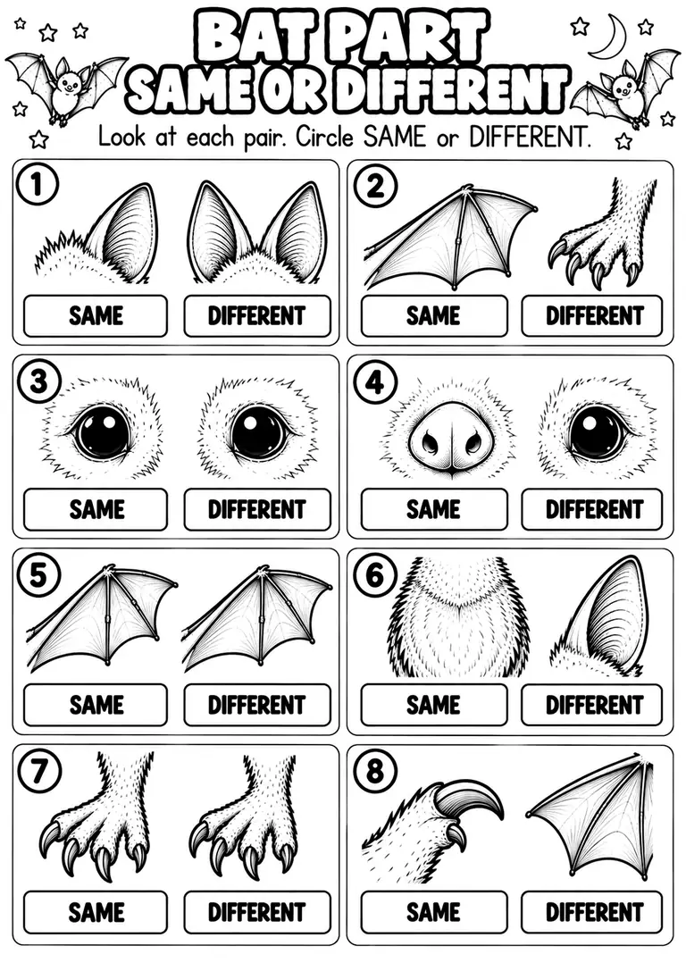 BAT PART SAME OR DIFFERENT for Kindergarten, 1st Grade
