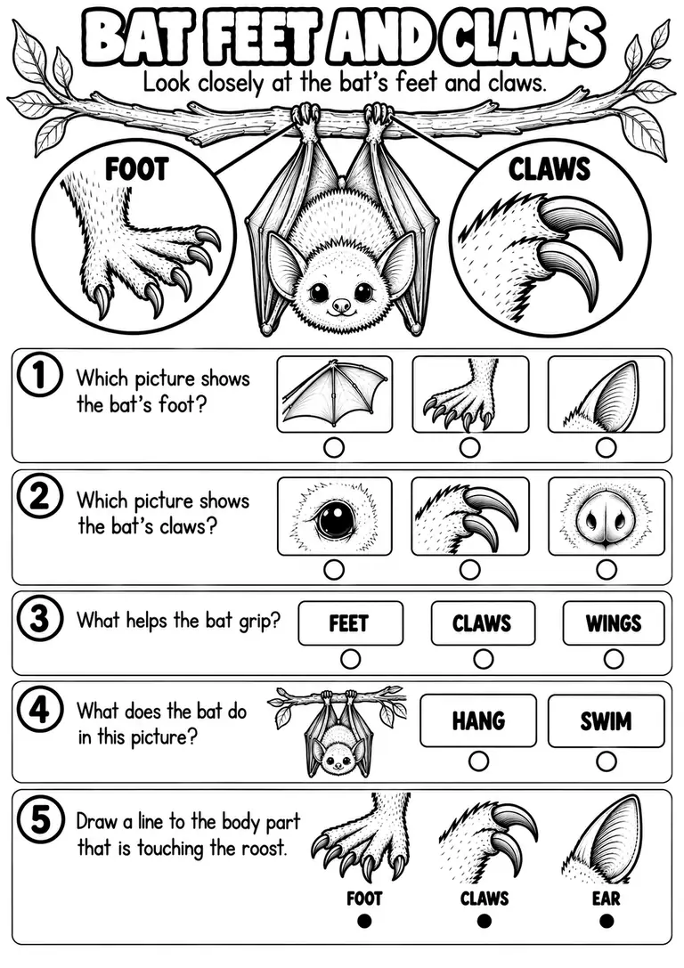 BAT FEET AND CLAWS for Kindergarten, 1st Grade