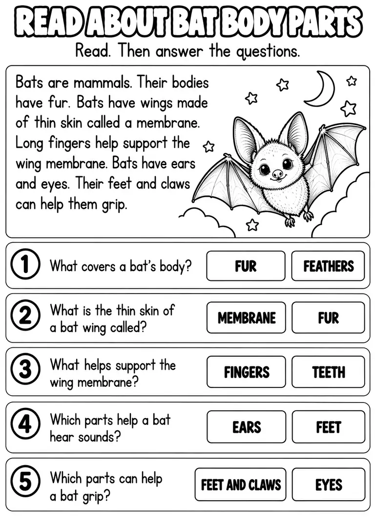 READ ABOUT BAT BODY PARTS for Kindergarten, 1st Grade