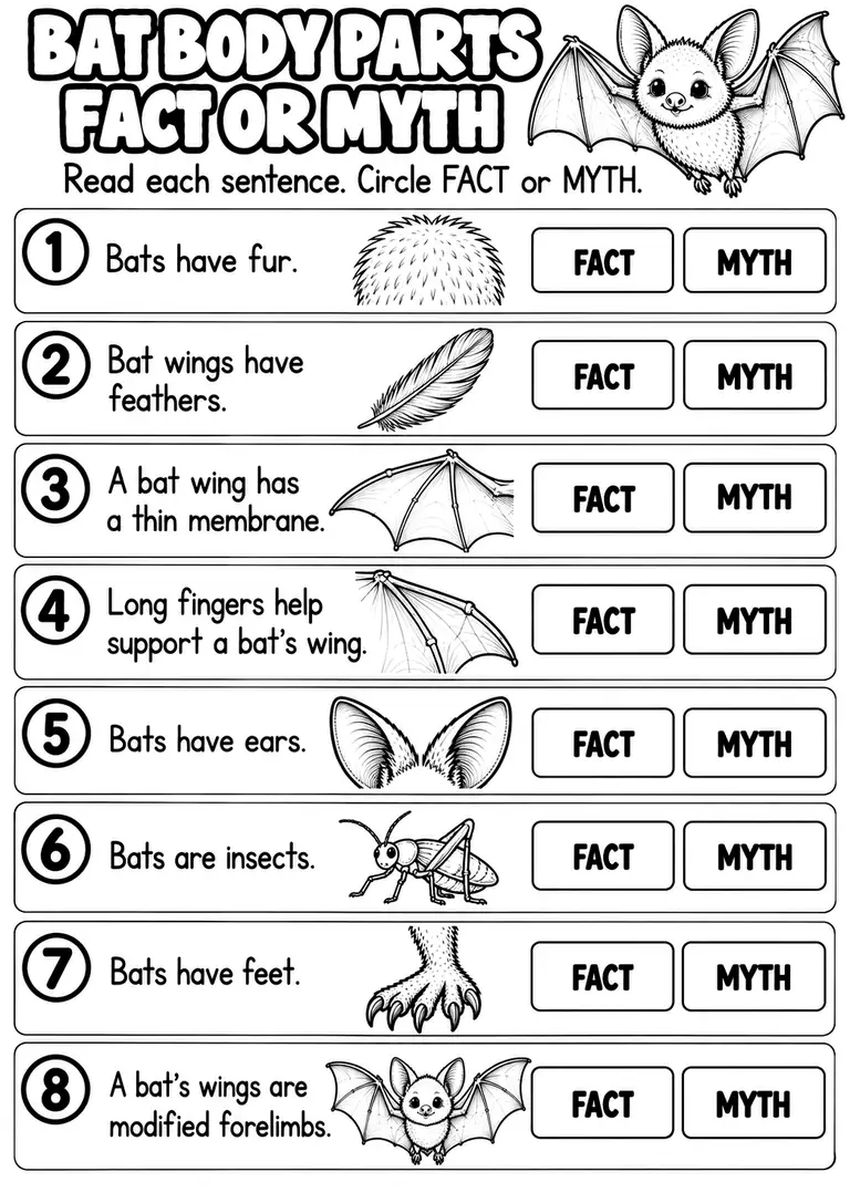 BAT BODY PARTS FACT OR MYTH for Kindergarten, 1st Grade