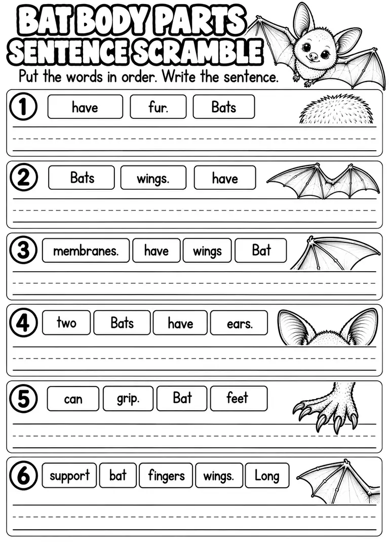 BAT BODY PARTS SENTENCE SCRAMBLE for Kindergarten, 1st Grade