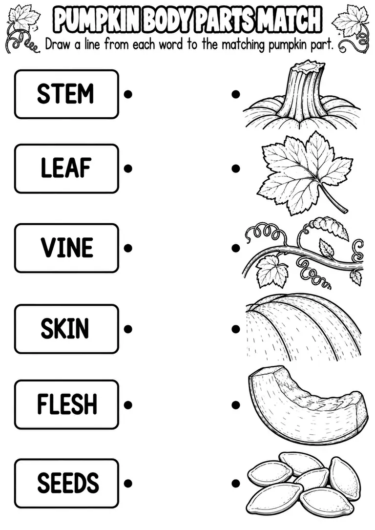 PUMPKIN BODY PARTS MATCH for Pre-K, Kindergarten, 1st Grade