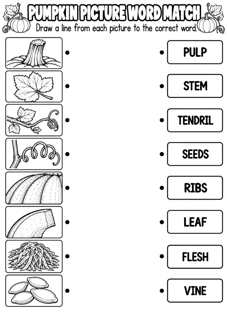 PUMPKIN PICTURE WORD MATCH for Pre-K, Kindergarten, 1st Grade