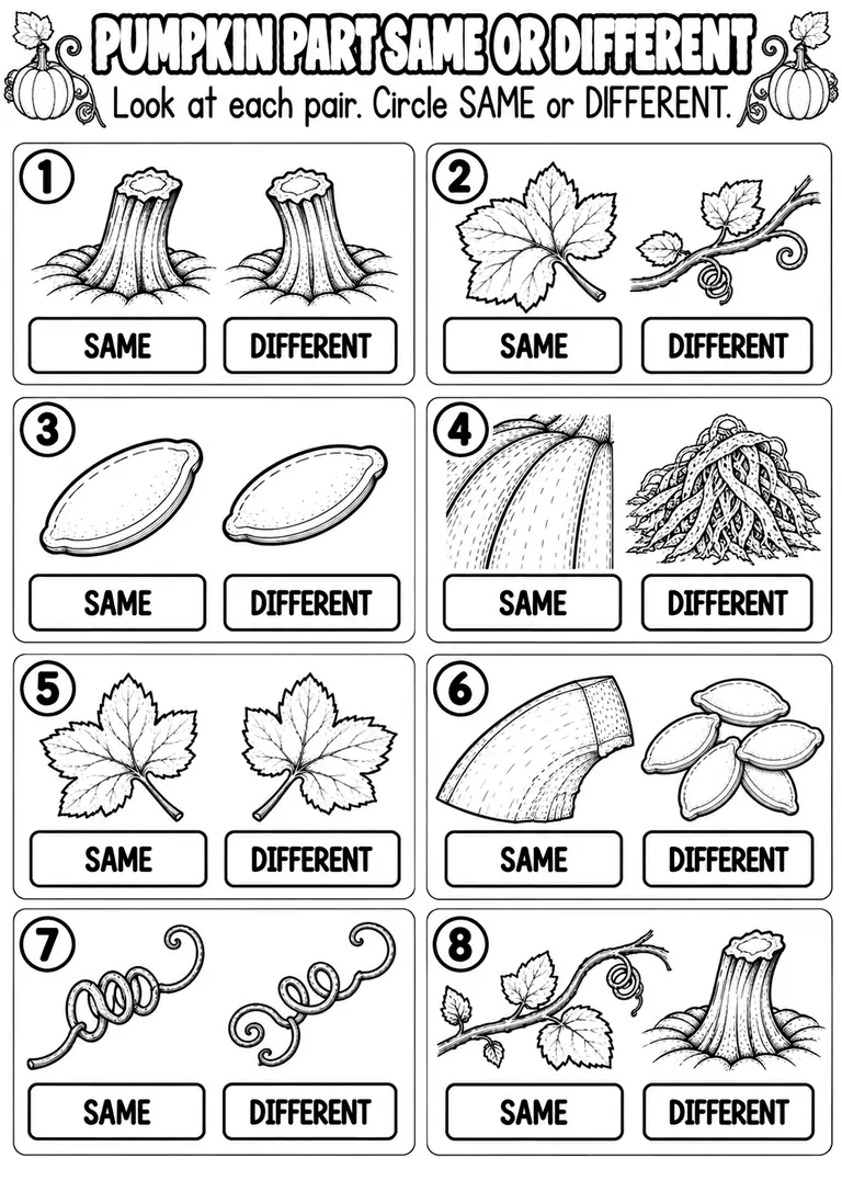 PUMPKIN PART SAME OR DIFFERENT for Pre-K, Kindergarten, 1st Grade
