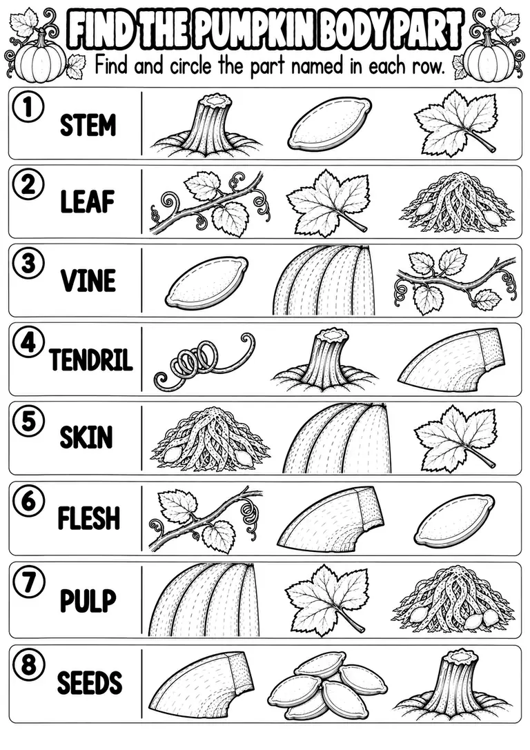 FIND THE PUMPKIN BODY PART for Pre-K, Kindergarten, 1st Grade