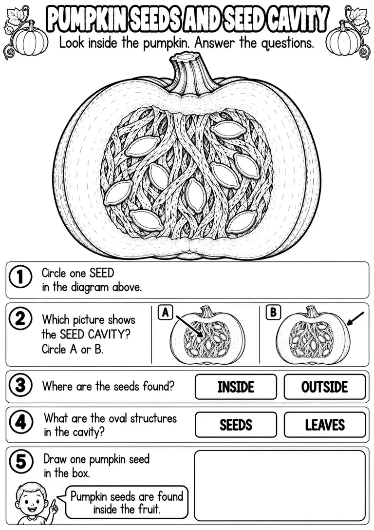 PUMPKIN SEEDS AND SEED CAVITY for Pre-K, Kindergarten, 1st Grade