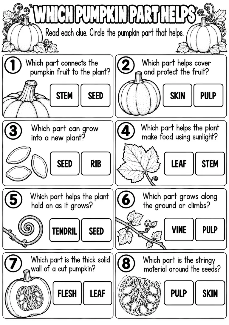 WHICH PUMPKIN PART HELPS for Pre-K, Kindergarten, 1st Grade