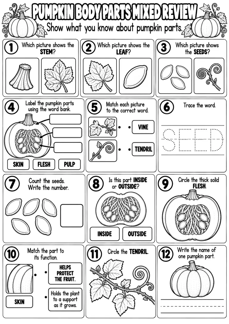 PUMPKIN BODY PARTS MIXED REVIEW for Pre-K, Kindergarten, 1st Grade