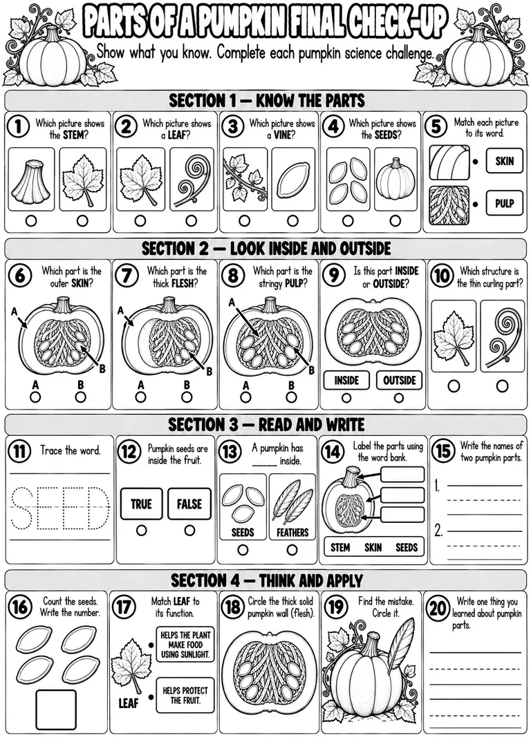 PARTS OF A PUMPKIN FINAL CHECK-UP for Pre-K, Kindergarten, 1st Grade