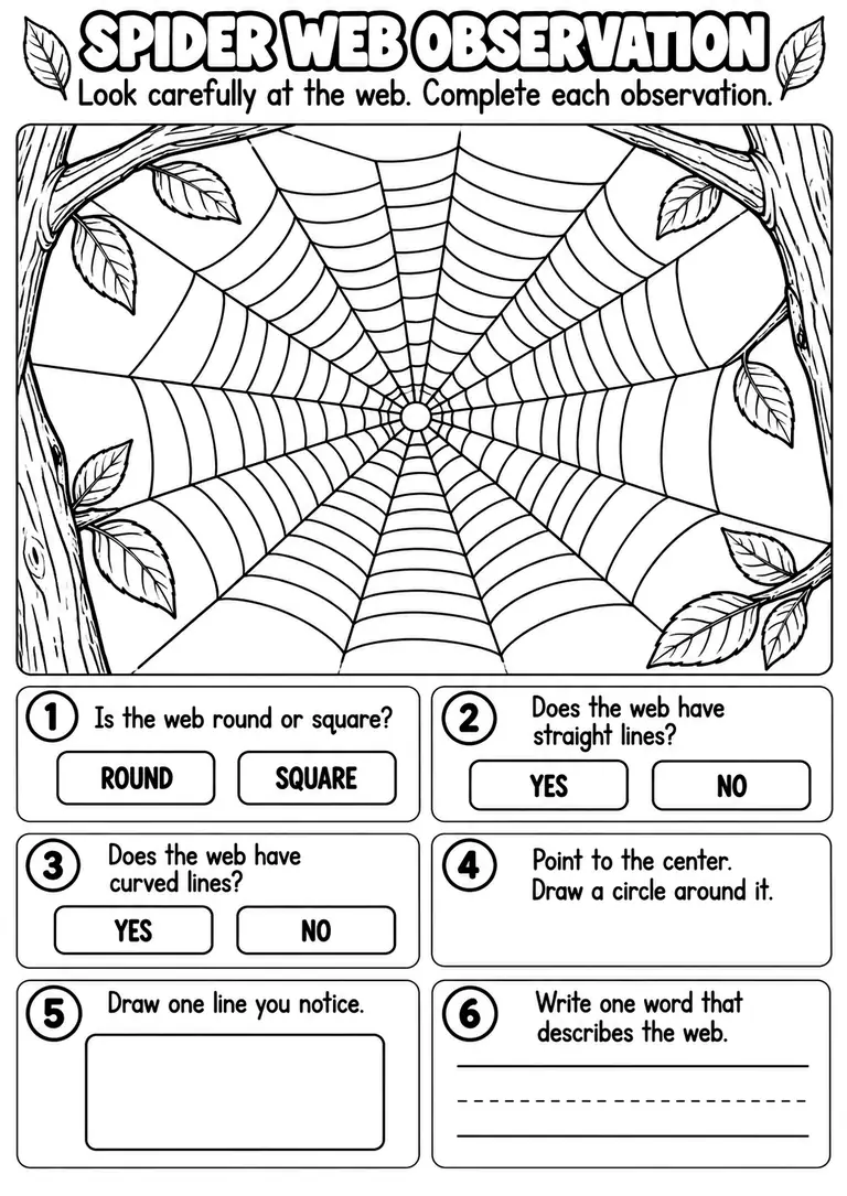 SPIDER WEB OBSERVATION for Pre-K, Kindergarten, 1st Grade