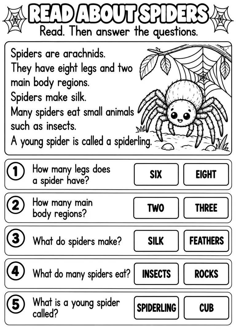READ ABOUT SPIDERS for Pre-K, Kindergarten, 1st Grade