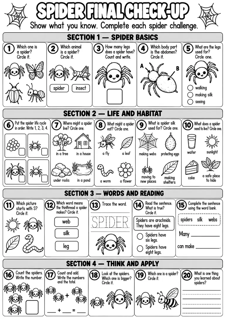SPIDER FINAL CHECK-UP for Pre-K, Kindergarten, 1st Grade