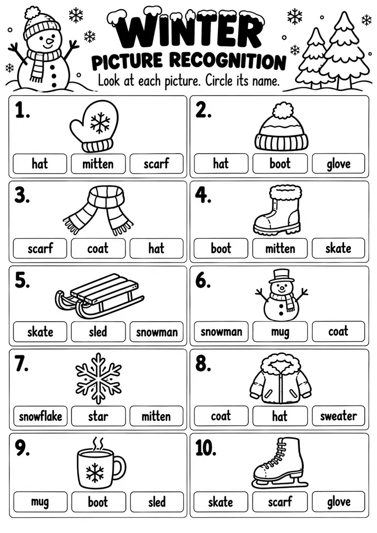 WINTER PICTURE RECOGNITION for Pre-K, Kindergarten, 1st Grade
